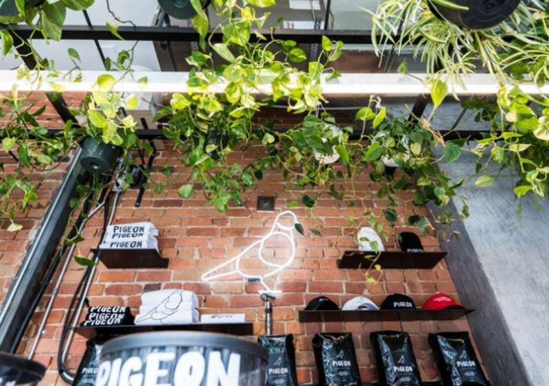 pigeon café